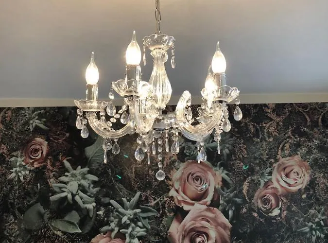 Cafe & Knoesel Heidelberg